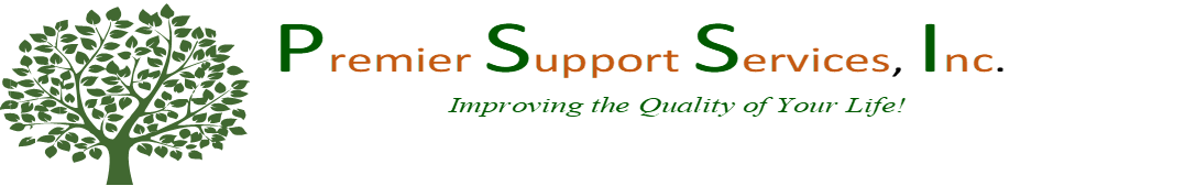 Premier Support Services, Inc.